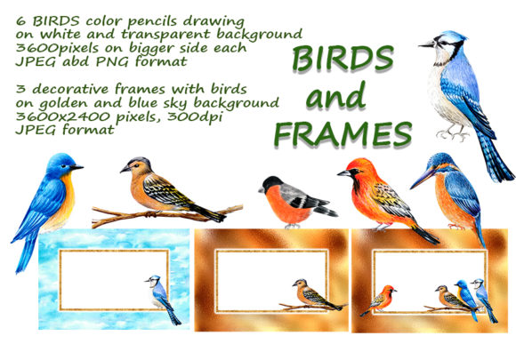 Decorative Birds, Color Pencils Drawing: Elevate Your Designs