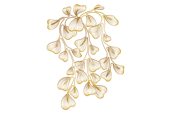 Exploring Decorative Botany Drawing: Golden Line A