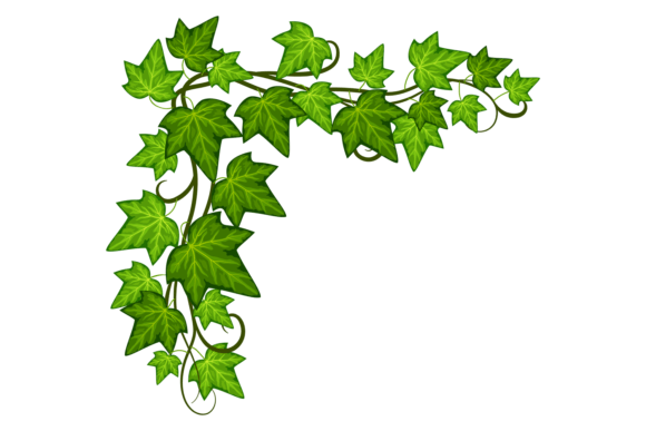 Ivy Corner: The Decorative Green Leaves Frame Template