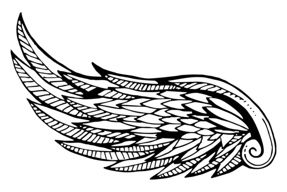 Wing Sketch: A Decorative Ornate Bird Feat in Design